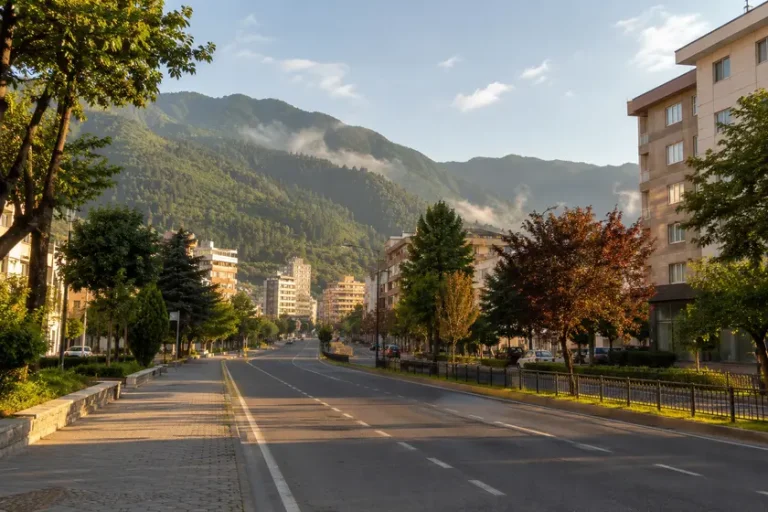 Artvin polis merkezleri adres telefon ve yol tarifi rehberi