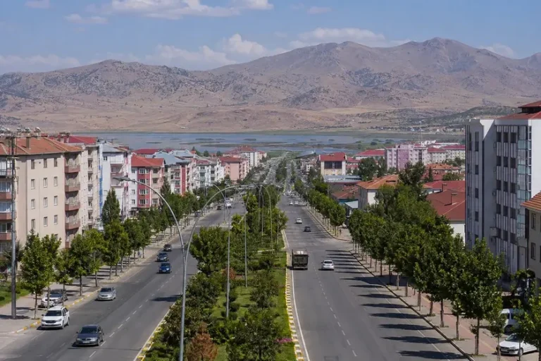 Bing&ouml;l polis merkezleri adres telefon ve yol tarifi rehberi