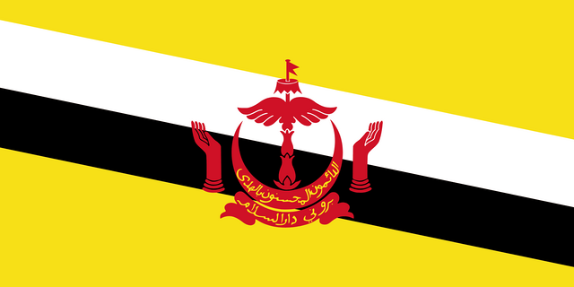 Brunei T&uuml;rk konsoloslukları ve vek&acirc;letname rehberi i&ccedil;in Brunei bayrağı