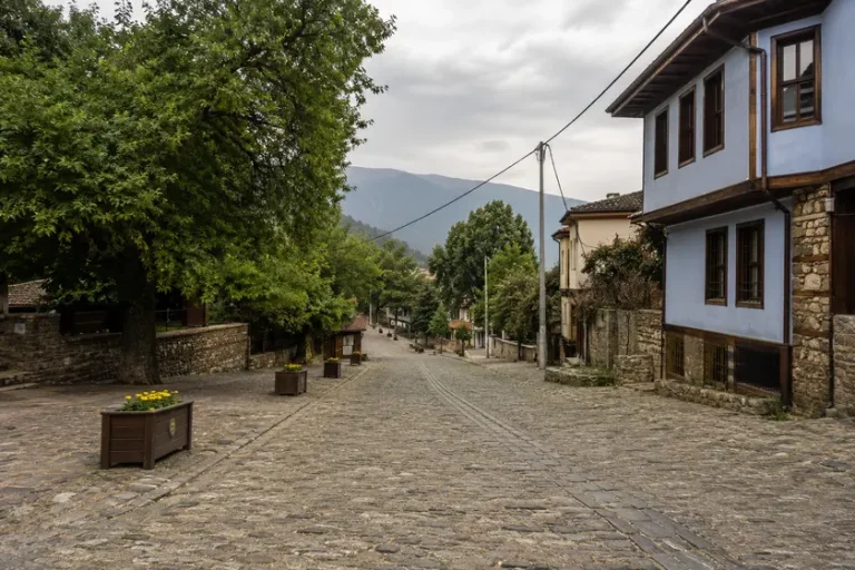 Bursa Polis Merkezleri Rehberi Bursa polis merkezleri adres telefon ve yol tarifi rehberi
