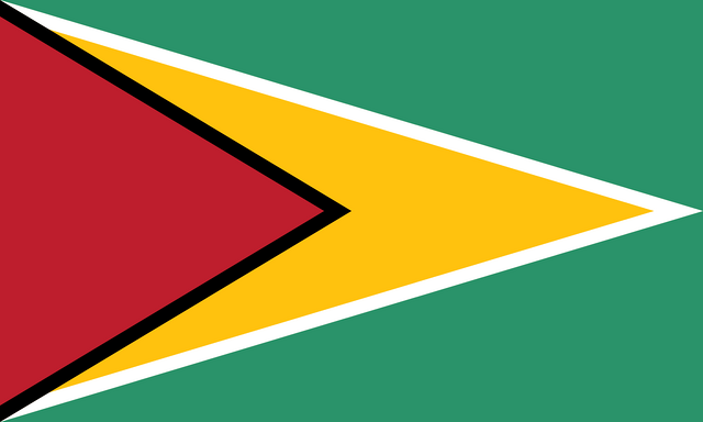 Guyana T&uuml;rk konsoloslukları ve vek&acirc;letname rehberi i&ccedil;in Guyana bayrağı