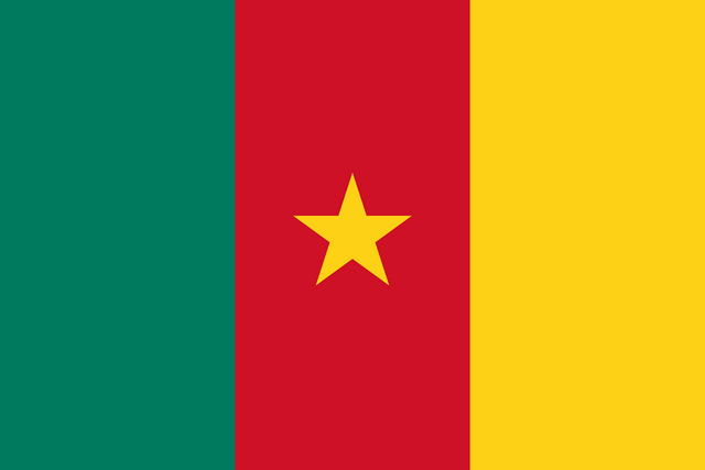 Kamerun T&uuml;rk konsoloslukları ve vek&acirc;letname rehberi i&ccedil;in Kamerun bayrağı