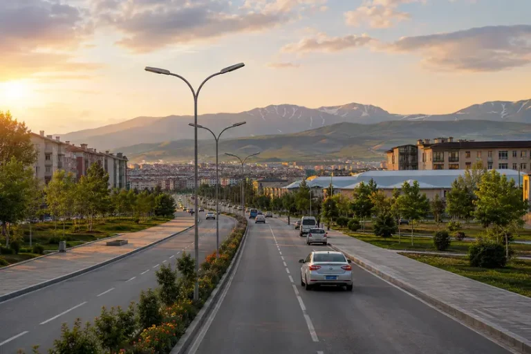Muş polis merkezleri adres telefon ve yol tarifi rehberi
