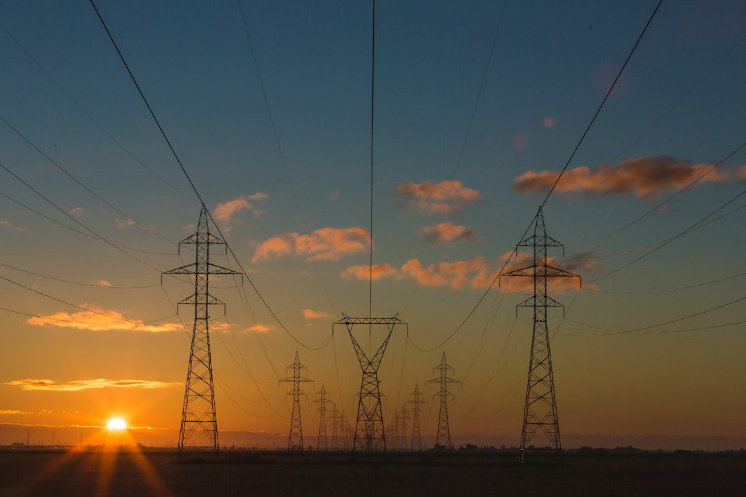 Elektrik iletim hatları ve enerji şebekesi