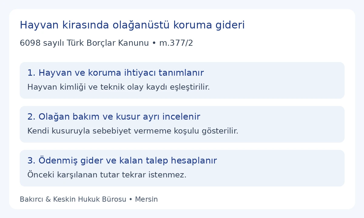 TBK 377 olağan&uuml;st&uuml; koruma giderinde hayvan kimliği, olay, kusur ve &ouml;deme kaydı
