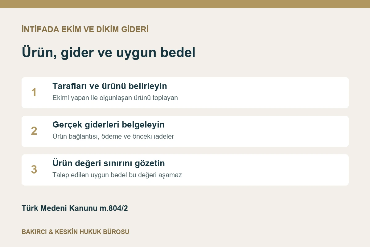 İntifada ekim ve dikim gideri hesabında ürün, gider belgesi ve ürün değeri sınırı