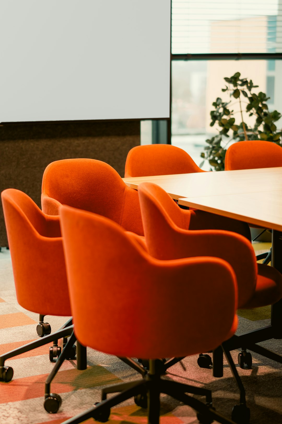 Management and Representation in a Turkish Limited Company: TCC Articles 623 and 629 for Foreign Investors