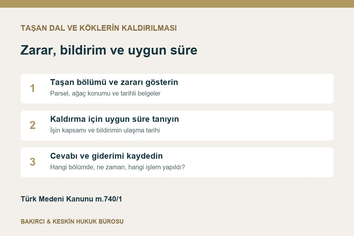 Taşan dal ve k&ouml;k bildirimi i&ccedil;in sınır ve zarar kaydı, uygun s&uuml;re ve sonu&ccedil; kontrol&uuml;