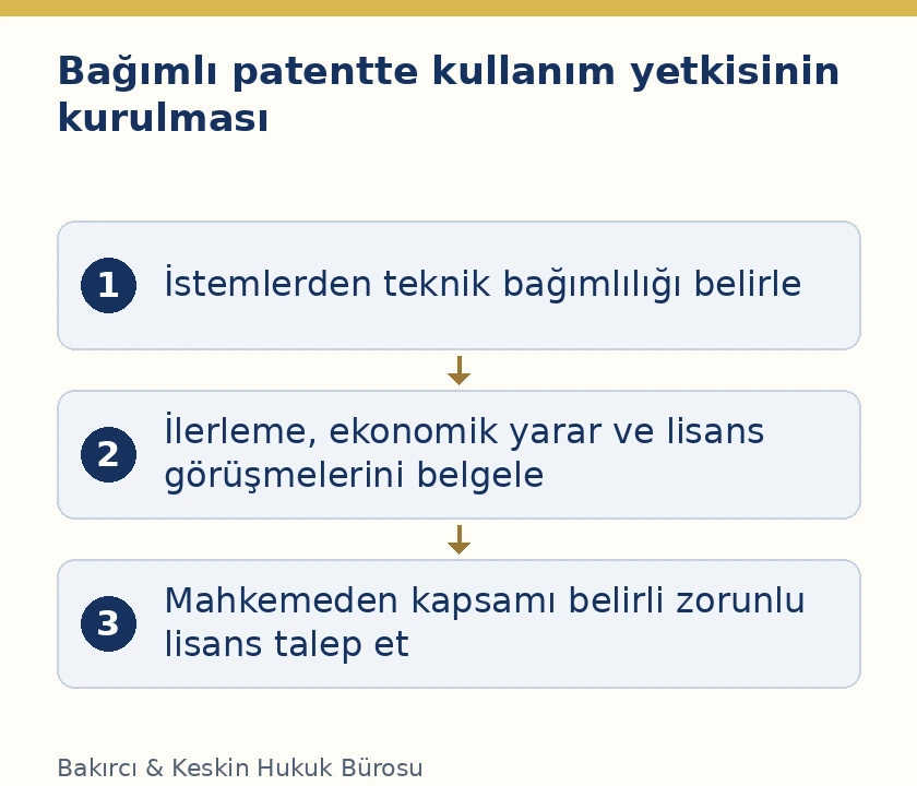 Bağımlı patent i&ccedil;in teknik karşılaştırma, ekonomik kanıt ve zorunlu lisans talebi