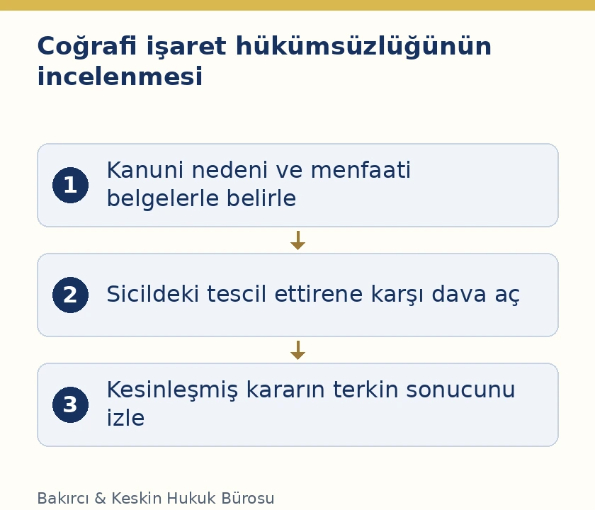 Coğrafi işaret hükümsüzlüğünde neden, dava ve kesinleşmiş kararın sicile etkisi