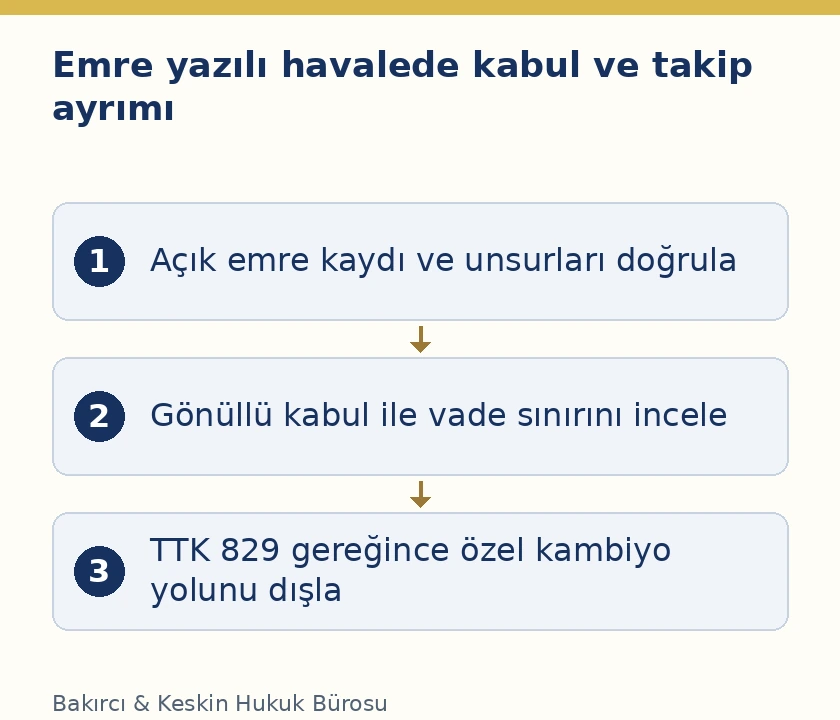 Emre yazılı havalede senet unsurları, g&ouml;n&uuml;ll&uuml; kabul, vade &ouml;ncesi başvuru sınırı ve &ouml;zel kambiyo takip yasağı