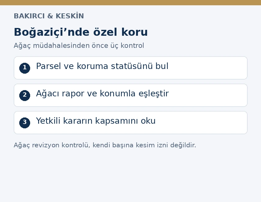 İstanbul Boğaziçi özel korusunda parsel statüsü, ağaç teknik raporu ve yetkili müdahale kararını ayıran üç adımlı görsel