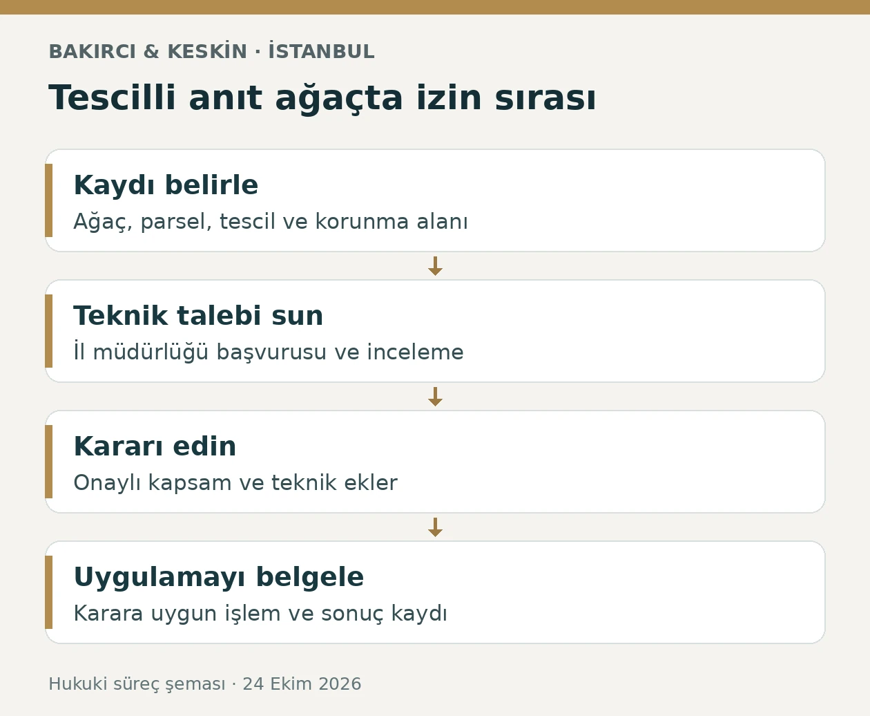 İstanbul&rsquo;da tescilli anıt ağa&ccedil; i&ccedil;in kayıt, teknik inceleme, koruma kararı ve uygulama sırası