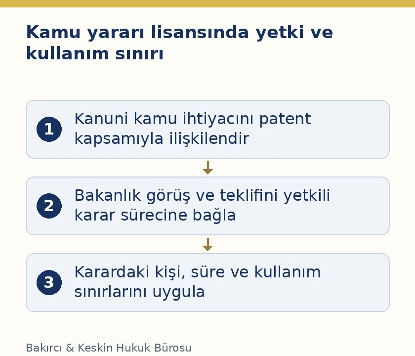 Kamu yararı patent lisansında ihtiya&ccedil;, yetkili karar ve sınırlı kullanım