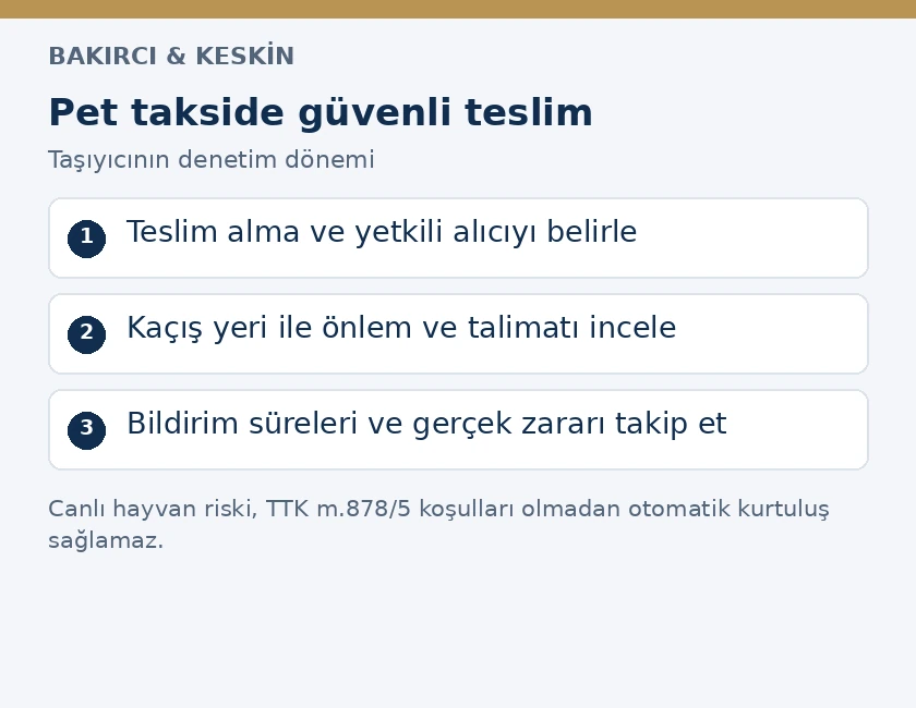 Pet takside teslim zinciri, hayvanın kaçışı ve hukuki bildirim adımları