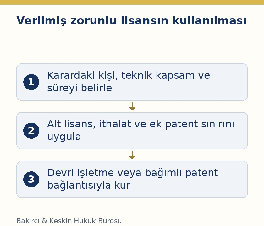 Zorunlu patent lisansında kapsam, &ouml;zel kullanım sınırları ve devir bağlantısı